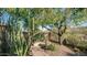 Landscaped backyard with desert plants and a stone pathway at 211 E Desert Wind Dr, Phoenix, AZ 85048