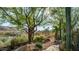 Landscaped backyard with desert plants and a stone pathway at 211 E Desert Wind Dr, Phoenix, AZ 85048