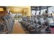 Modern fitness center with a wide variety of equipment at 27028 W Oraibi Dr, Buckeye, AZ 85396