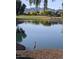 Serene pond view with a bird and mountain backdrop at 27028 W Oraibi Dr, Buckeye, AZ 85396