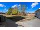 Large backyard with mature trees and landscaping at 424 E Lehi Rd, Mesa, AZ 85203