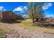 Large grassy backyard with mature trees at 424 E Lehi Rd, Mesa, AZ 85203