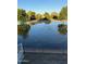 Scenic pond view surrounded by lush greenery and trees, creating a serene environment at 424 E Lehi Rd, Mesa, AZ 85203
