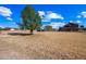 Large grassy yard with mature trees and a home in the distance at 424 E Lehi Rd, Mesa, AZ 85203