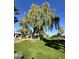 Weeping willow tree on grassy area at 8625 E Belleview Pl # 1047, Scottsdale, AZ 85257