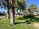 Green lawn area with mature trees at 8625 E Belleview Pl # 1047, Scottsdale, AZ 85257