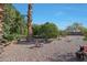 Backyard view showcasing a variety of plants and desert landscaping at 9346 W Glen Oaks N Cir, Sun City, AZ 85351