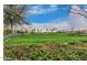 Landscaped community park with palm trees and a manicured lawn at 9750 E Radioactive Dr, Mesa, AZ 85212