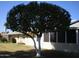 Mature citrus tree in the yard, providing shade and seasonal fruit at 10731 W Mission Ln, Sun City, AZ 85351