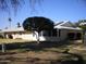 Property featuring a well-maintained yard and mature citrus tree at 10731 W Mission Ln, Sun City, AZ 85351