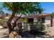 The exterior of this charming home is complemented by mature trees and solar panels at 11346 E Renata Ave, Mesa, AZ 85212