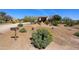 House exterior with desert landscaping and a long driveway at 22419 N Los Caballos Dr, Scottsdale, AZ 85255