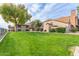 Well-maintained grassy lawn area with a large tree at 7905 W Thunderbird Rd # 309, Peoria, AZ 85381