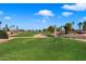 Scenic golf course with water features and palm trees at 12947 W Chapala Dr, Sun City West, AZ 85375