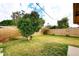 Landscaped backyard with mature citrus tree at 1707 E Mclellan Blvd, Phoenix, AZ 85016