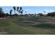 Scenic view of a lush golf course with palm trees at 17200 W Bell Rd # 1599, Surprise, AZ 85374