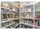 Well-organized pantry with ample shelving for storage at 24435 S 195Th St, Queen Creek, AZ 85142