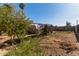 Backyard with a small tree and garden area at 2738 N 40Th Dr, Phoenix, AZ 85009