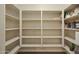 Large walk-in pantry with adjustable shelving at 277 E Windsor Ct, Gilbert, AZ 85296