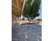 Spacious front yard with mature tree at 4854 W Berkeley Rd, Phoenix, AZ 85035