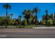 Palm-lined street with a grassy park area at 725 E Vaughn Dr, Tempe, AZ 85283