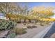 Stunning desert landscaping with cacti and shrubs in front of the home at 7462 E Visao Dr, Scottsdale, AZ 85266