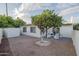 Spacious backyard with patio, gravel landscaping and mature citrus tree at 7749 E Coolidge St, Scottsdale, AZ 85251