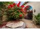 Backyard oasis with lush bougainvillea and hot tub at 8438 N 84Th Pl, Scottsdale, AZ 85258