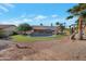 Landscaped backyard with a sparkling pool at 859 N 54Th Cir, Mesa, AZ 85205