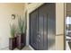 Modern double front doors with sleek design and potted plants at 14425 S Canyon Dr, Phoenix, AZ 85048