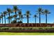 The Grand community entrance with palm trees and a landscaped area at 15113 W Cactus Ridge Way, Surprise, AZ 85374