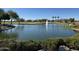 Peaceful pond with fountain in a desert landscape setting at 17311 N Havasupai Dr, Surprise, AZ 85374