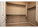 Spacious walk-in closet with double hanging rods at 20226 N 260Th Dr, Buckeye, AZ 85396