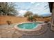 Lush backyard with a sparkling pool, desert plants, and hardscape design for outdoor enjoyment at 20226 N 260Th Dr, Buckeye, AZ 85396