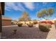 Landscaped backyard with gravel, shrubs and trees at 22568 W Gardenia Dr, Buckeye, AZ 85326
