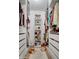 Spacious walk-in closet with ample shelving and drawers at 25836 N Primo Cir, Rio Verde, AZ 85263