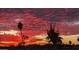 Stunning sunset with vibrant colors and palm trees at 9711 W Briarwood Cir, Sun City, AZ 85351