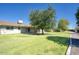 Spacious backyard with lush grass and mature trees at 9841 N Balboa Dr, Sun City, AZ 85351