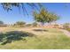 Community park with grassy area, trees, and playground at 1154 W Lowell Dr, San Tan Valley, AZ 85140