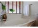 Oval bathtub with window and decorative plant at 12503 S 175Th Ave, Goodyear, AZ 85338