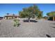 Spacious backyard with gravel and desert plants at 12619 N Sun Valley Dr, Sun City, AZ 85351