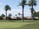 View of a lush green golf course with palm trees at 12619 N Sun Valley Dr, Sun City, AZ 85351