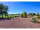 Landscaped backyard with a golf course view at 13105 W Micheltorena Dr, Sun City West, AZ 85375