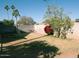 Backyard with grassy area, trees, and a bicycle at 1636 E Juanita Ave, Mesa, AZ 85204