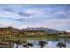 Scenic community view with lake, palm trees, and mountains at 17855 W Thistle Landing Dr, Goodyear, AZ 85338