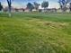 Expansive grassy area with views of residential homes at 3329 W Mcrae Way # 4, Phoenix, AZ 85027