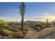 Round pen for horses with desert landscape in background at 5730 E Cielo N Run, Cave Creek, AZ 85331