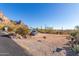 Gravel driveway with parking area and desert landscape at 6013 E Lost Dutchman Blvd, Apache Junction, AZ 85119