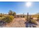 House exterior showcasing desert landscaping and a rustic mailbox at 6013 E Lost Dutchman Blvd, Apache Junction, AZ 85119