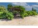 Lush pergola covered in greenery creating a shaded seating area at 6052 N 183Rd Ave, Waddell, AZ 85355